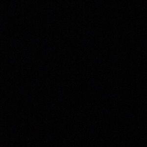 Meet your Posher, Maya